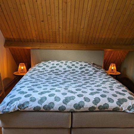 Ruime Vrijstaande Vakantiewoning Aan Veerse Meer, 6 Persoons Wolphaartsdijk Exterior foto